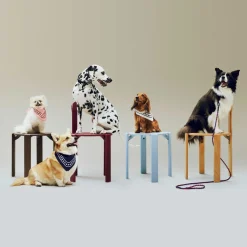 Hundehalstuch recycelt 55x55cm