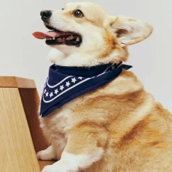 Hundehalstuch recycelt 55x55cm