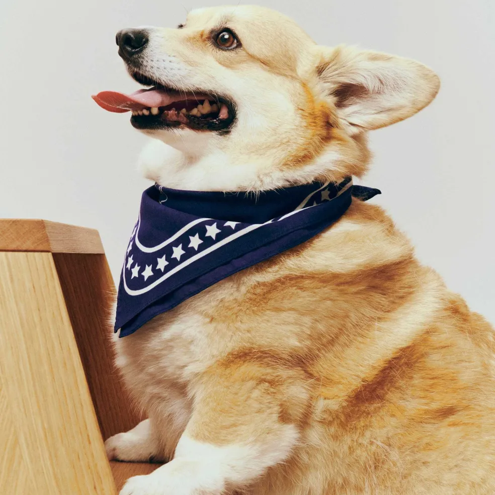 Hundehalstuch recycelt 55x55cm