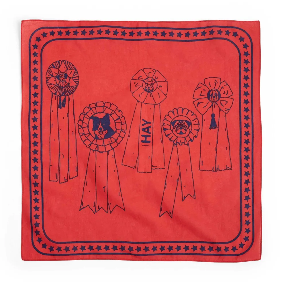 Hundehalstuch recycelt 55x55cm