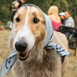 Hundehalstuch recycelt 55x55cm