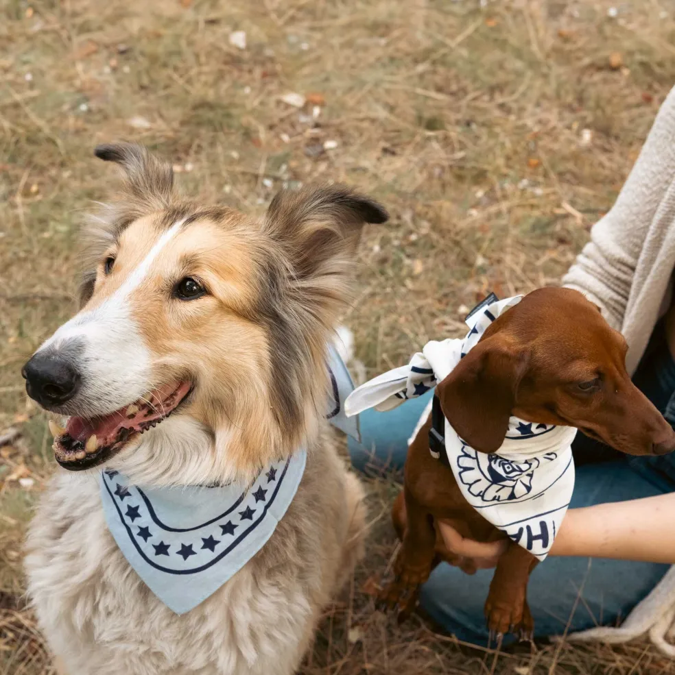 Hundehalstuch recycelt 55x55cm