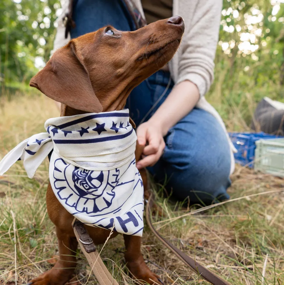 Hundehalstuch recycelt 55x55cm