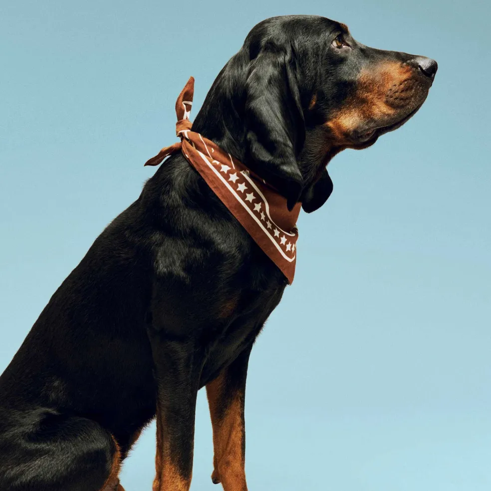 Hundehalstuch recycelt 55x55cm