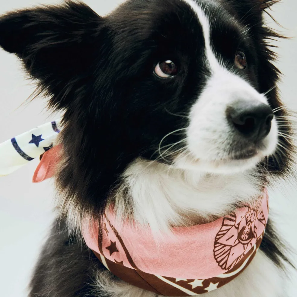 Hundehalstuch recycelt 55x55cm