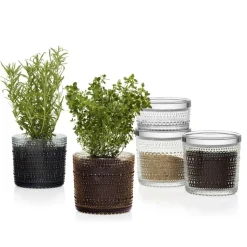 Kastehelmi Vorratsglas H5,7cm