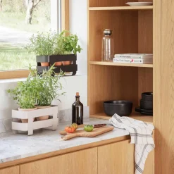 Kräutertopf mit Selbstbewässerung