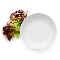 Legio Nova Obstschale