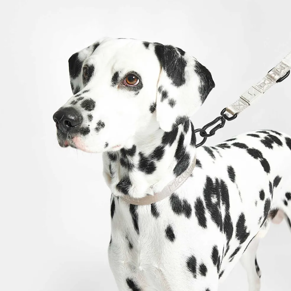 Modena Hundehalsband M/ML