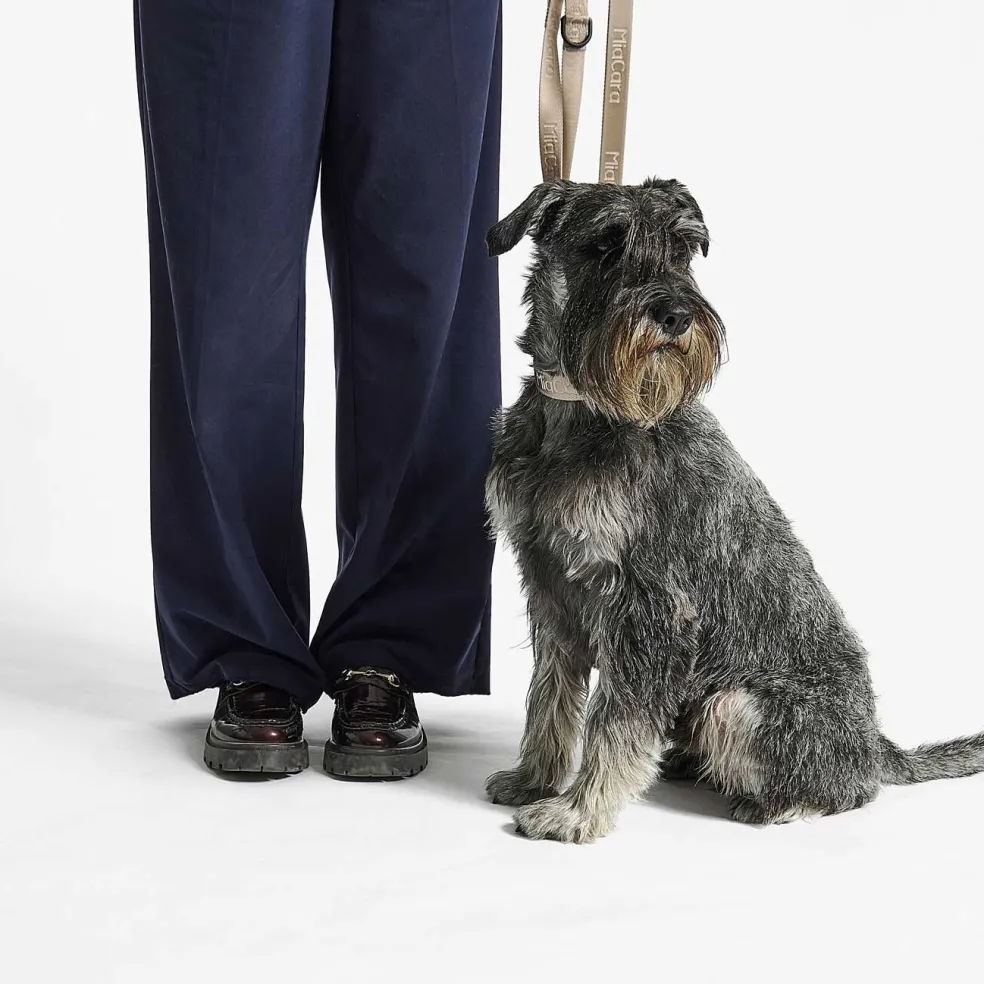 Modena Hundehalsband M/ML