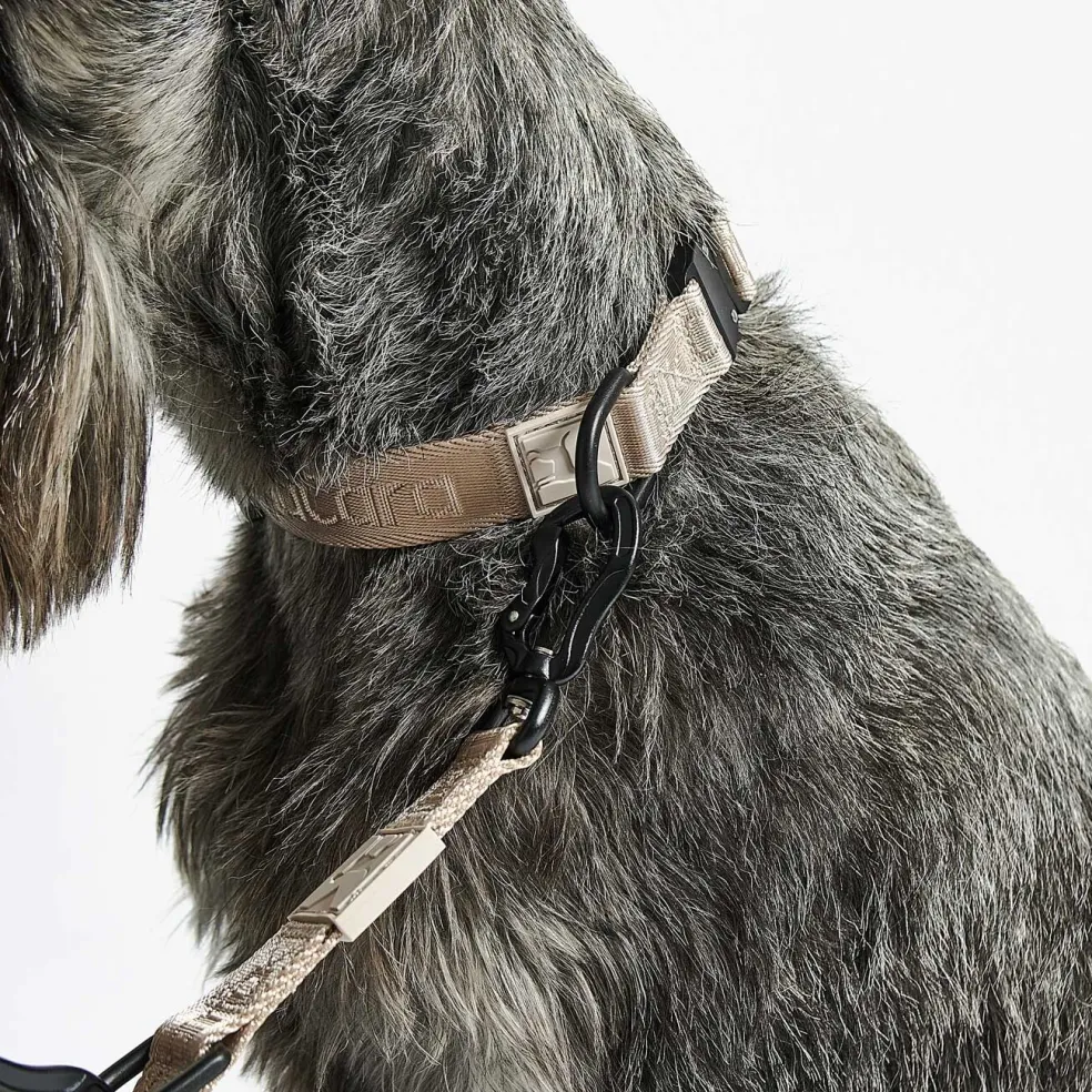 Modena Hundehalsband M/ML