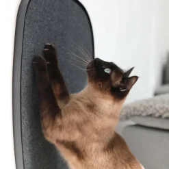 Pannello Kratzpaneel