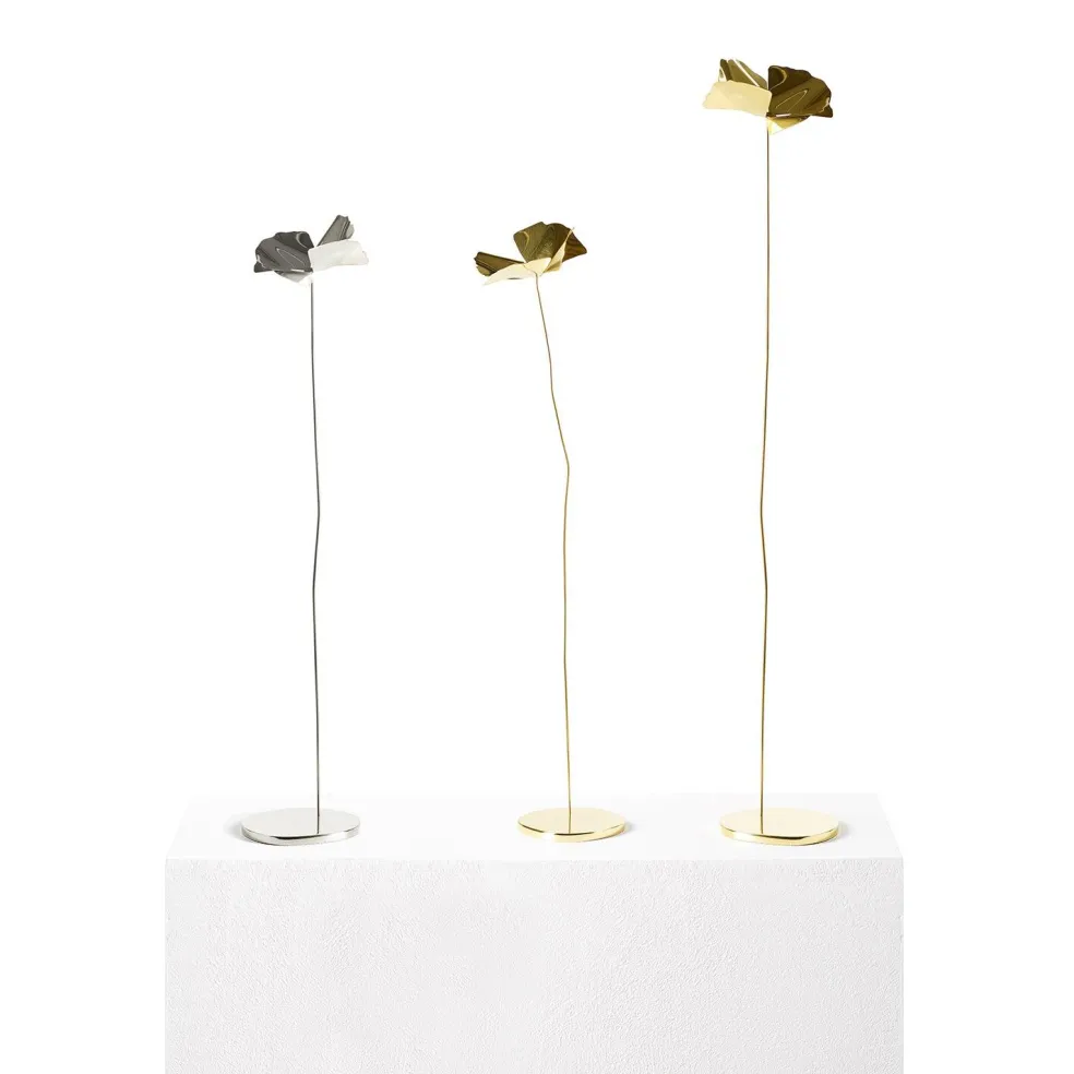 Papavero Delicato Mohnblume Tischdekoration