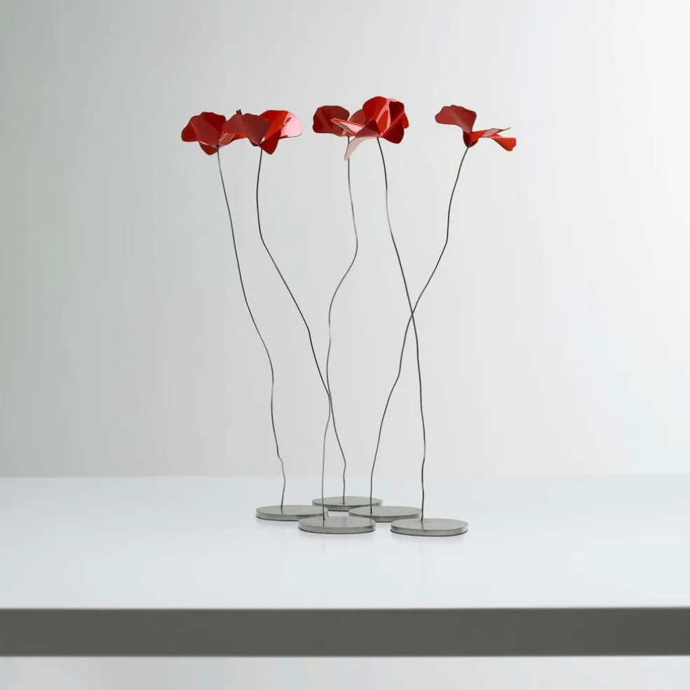 Papavero Delicato Mohnblume Tischdekoration