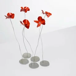 Papavero Delicato Mohnblume Tischdekoration