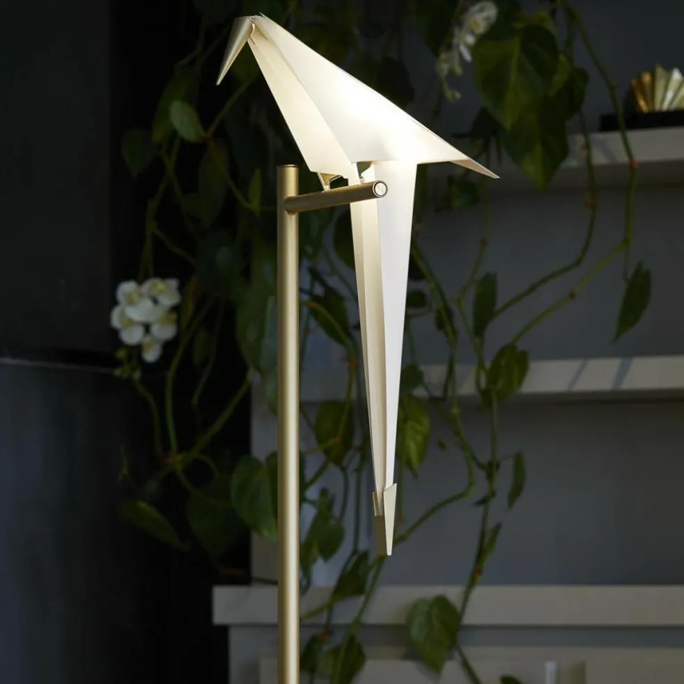 Perch Light LED Tischleuchte