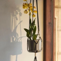 Phanta Pflanzenaufhänger