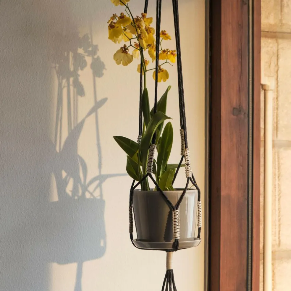 Phanta Pflanzenaufhänger