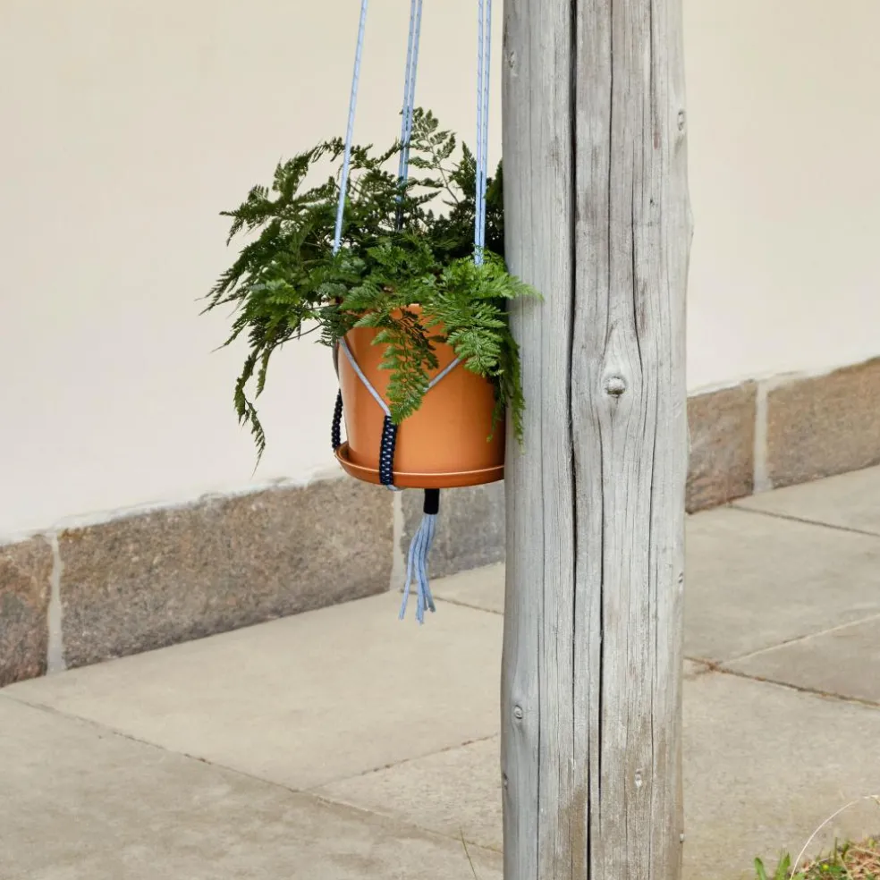 Phanta Pflanzenaufhänger