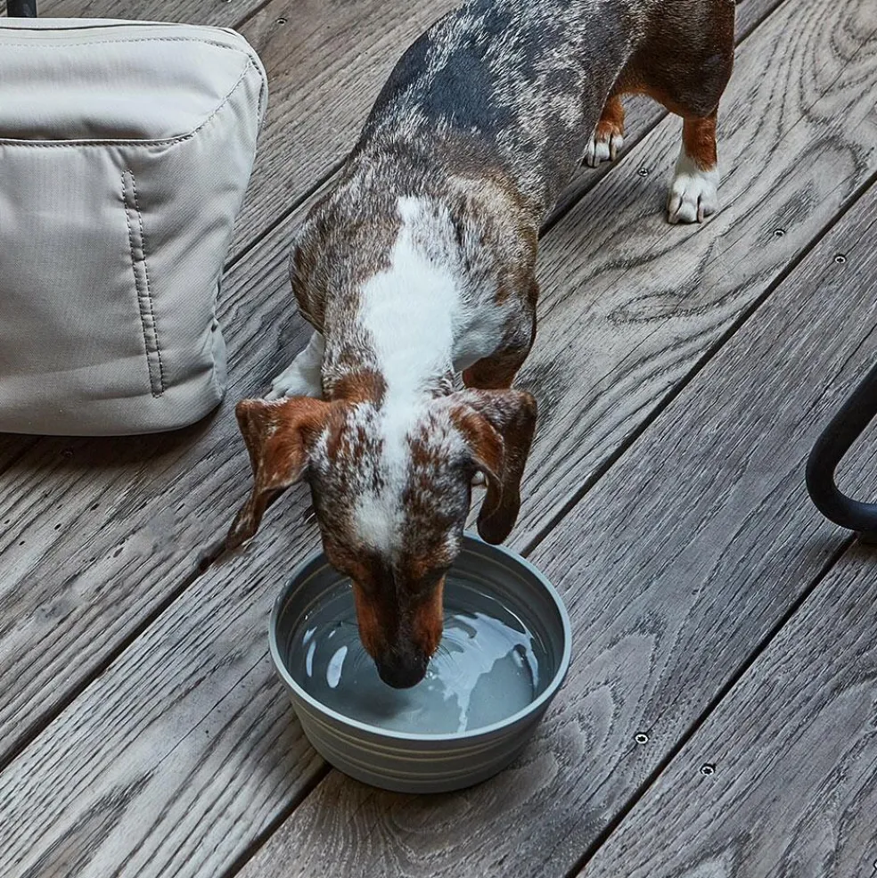 Piega Reise-Hundenapf faltbar