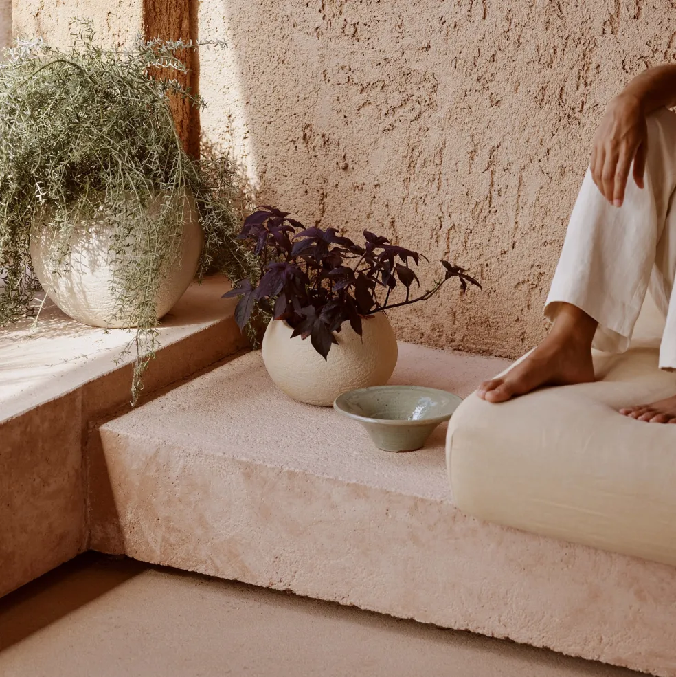 Plantas Pflanzentopf