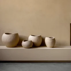 Plantas Pflanzentopf