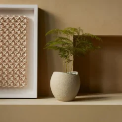 Plantas Pflanzentopf