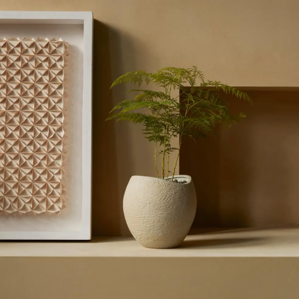 Plantas Pflanzentopf