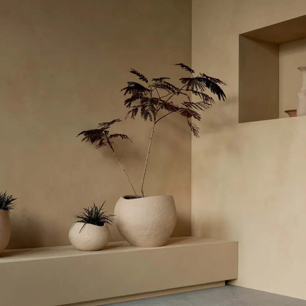 Plantas Pflanzentopf