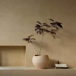 Plantas Pflanzentopf