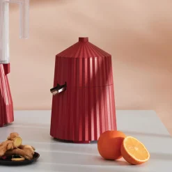 Plissé Elektrische Zitruspresse