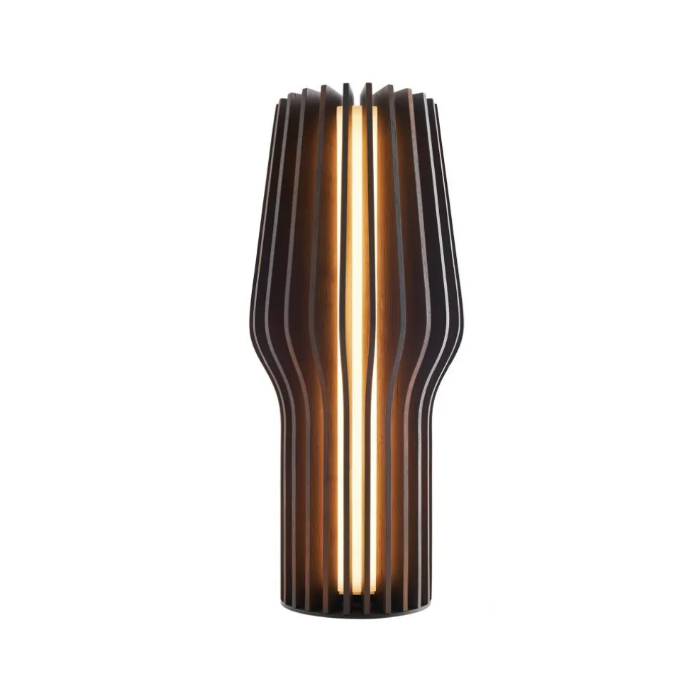 Radiant LED Akkuleuchte