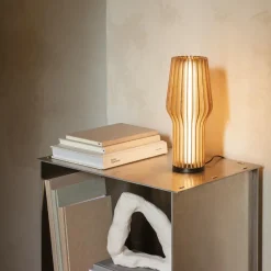 Radiant LED Akkuleuchte