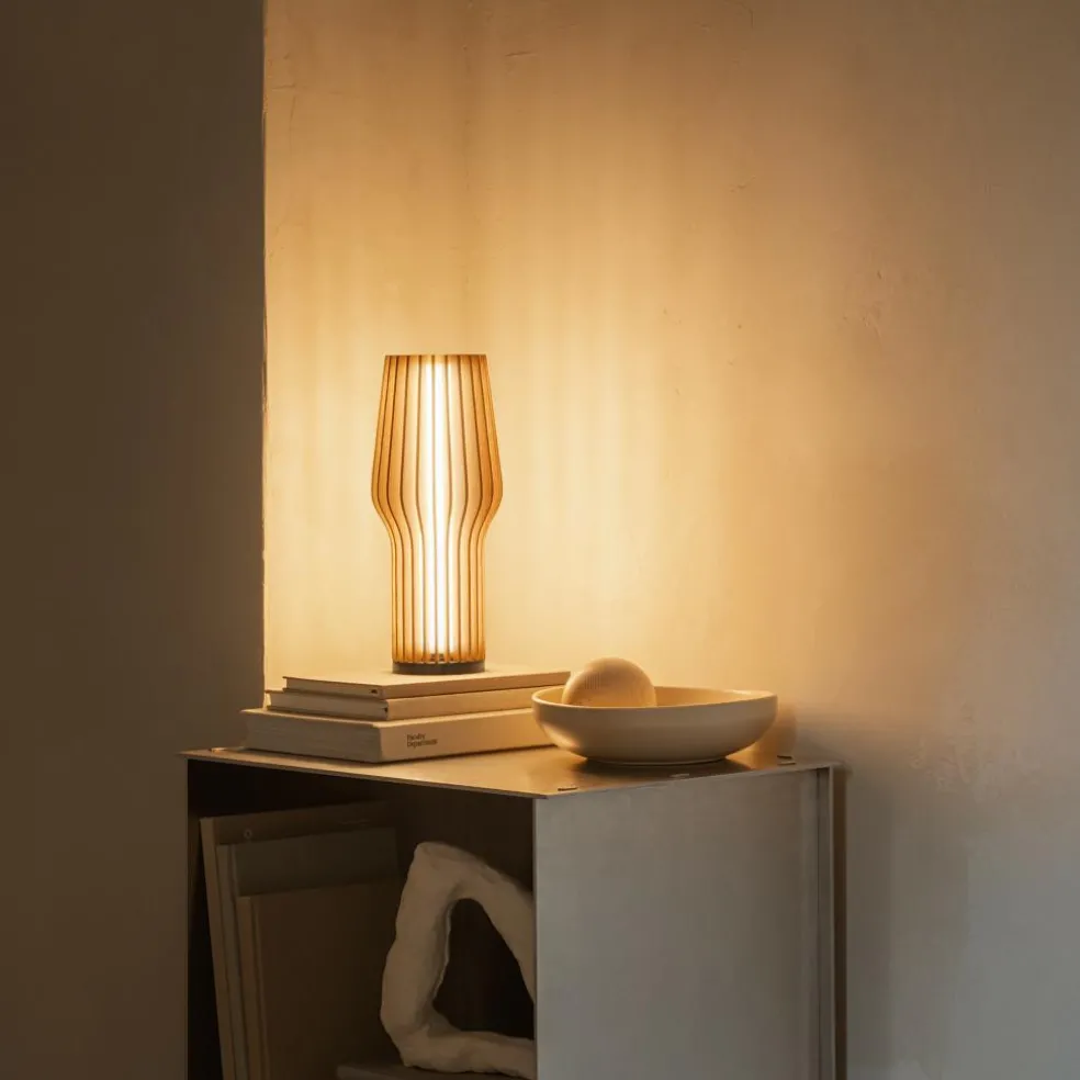 Radiant LED Akkuleuchte