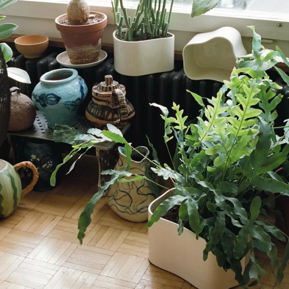 Riihitie A Pflanzgefäß S