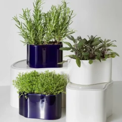 Riihitie B Pflanzgefäß M