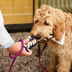 Rope Hundespielzeug