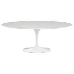 Saarinen Esstisch oval 198cm