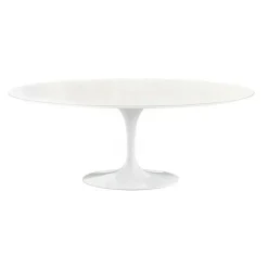 Saarinen Gartentisch Oval 198cm