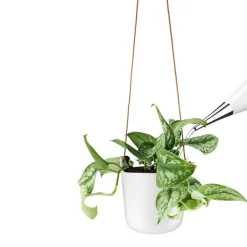 Selbstbewässernder Topf