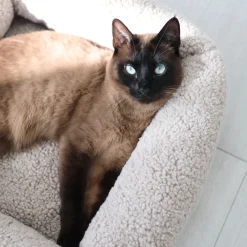 Senso Box Katzenbett