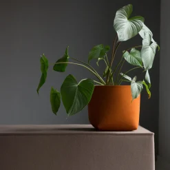 Silo Pflanzenübertopf L