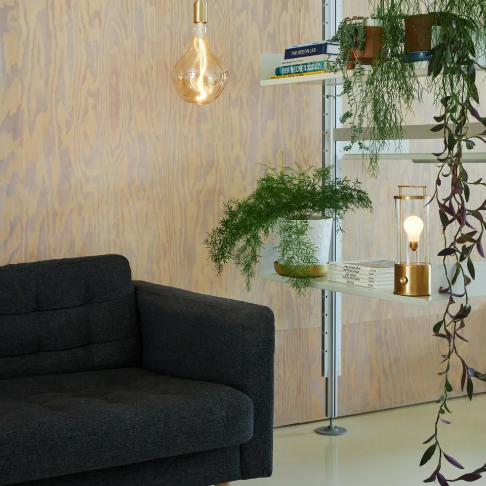 Special Edition The Muse LED Akkuleuchte