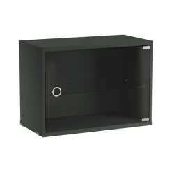 String System Vitrine mit Glasschwingtür 58x30cm