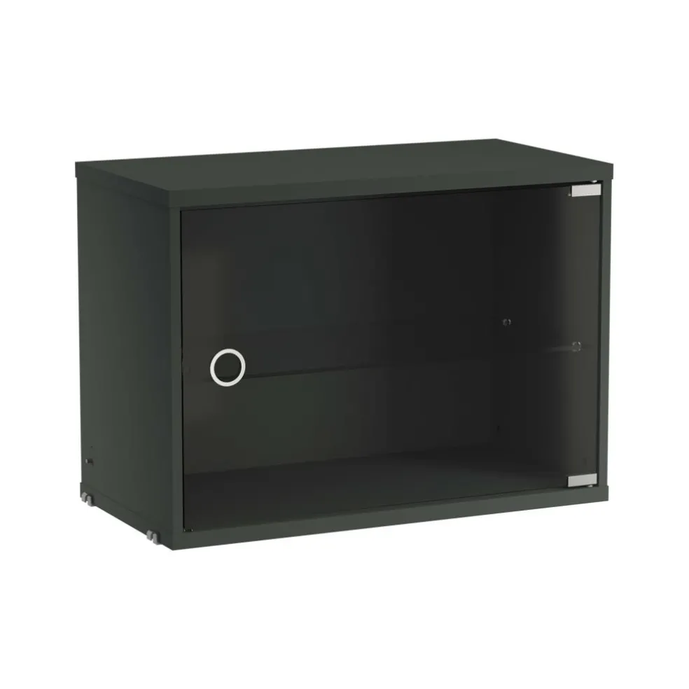 String System Vitrine mit Glasschwingtür 58x30cm