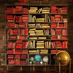 String System Wandleiter Plexiglas 50x30cm