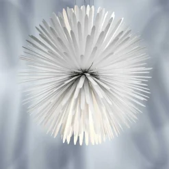 Sun-Light of Love LED Pendelleuchte