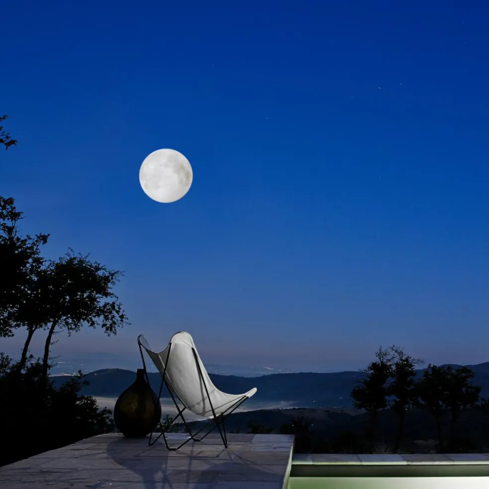 Sunshine Mariposa Sunbrella Butterfly Gartensessel