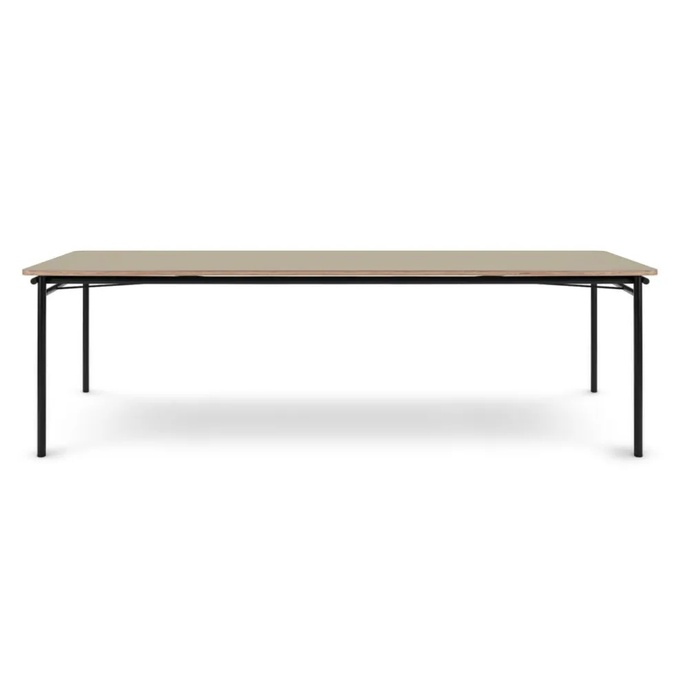 Taffel Esstisch ausziehbar 250x90x74cm