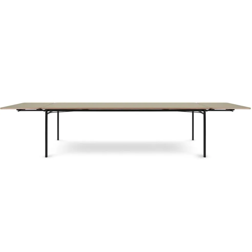 Taffel Esstisch ausziehbar 250x90x74cm